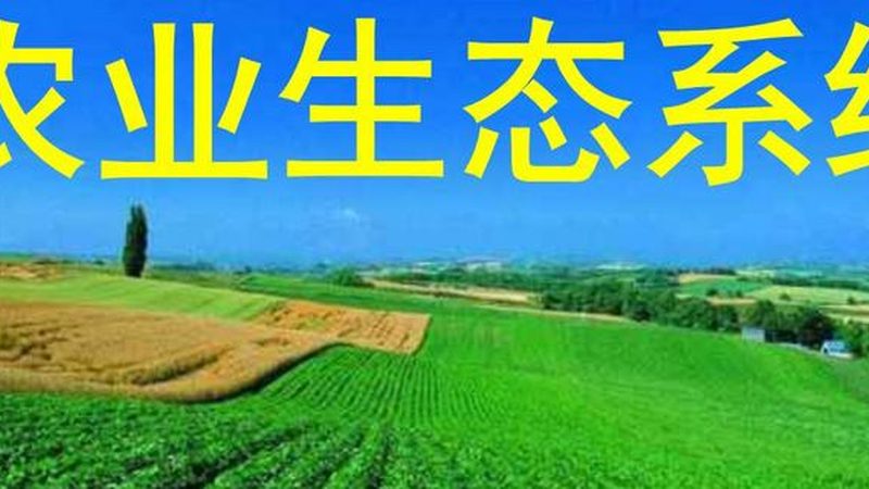 四川农业合作社加盟，如何选择合适的发展路径？**