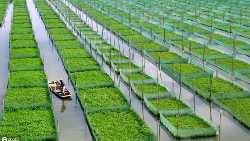 小型农场数字化管理平台：如何找到最适合你的“大脑
