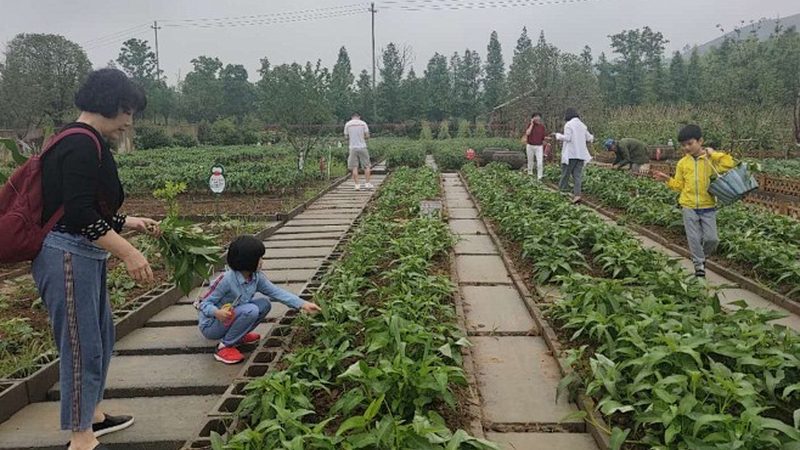 家庭农场如何选择合适品牌：避开这些误区**