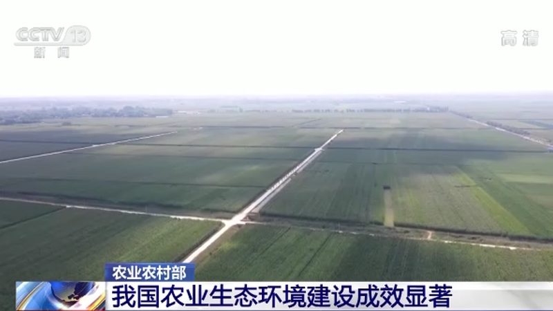 农业产业园灌溉系统PE管：关键部件，价格与性能如何权衡？**
