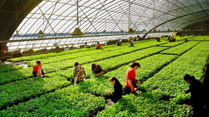 合作社注销材料清单及费用全解析