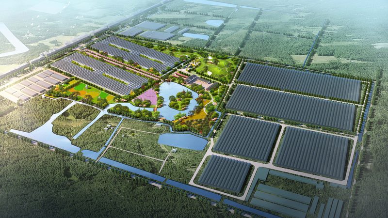 农业产业园可行性研究报告资质：解读与合规要点**