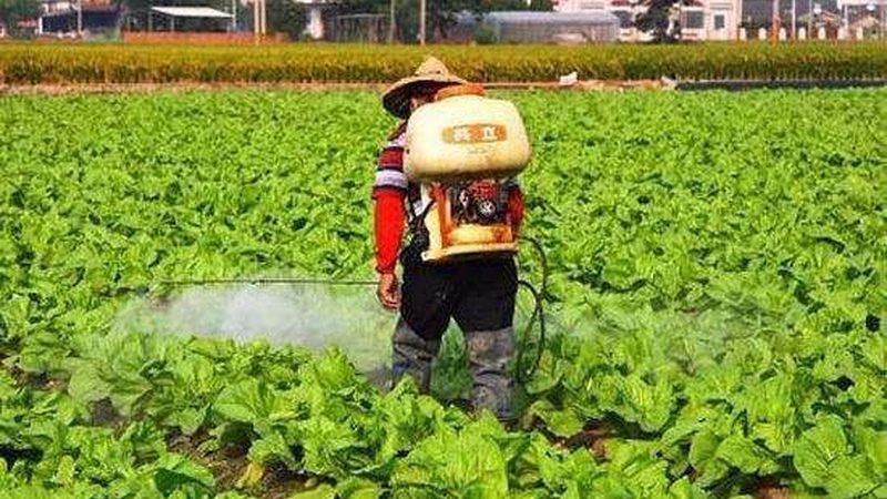 家庭农场补贴申请，如何轻松找到平台入口？**