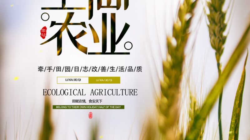 合作社代办服务费用：了解背后的真实成本