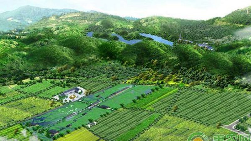 阳台农业种植肥料用量多少：科学施肥的秘诀