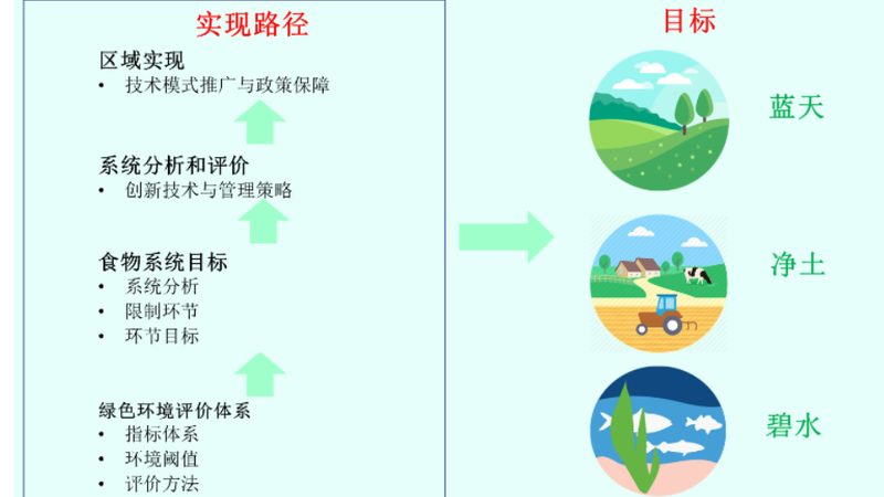 有机蔬菜加盟代理：费用构成与考量因素