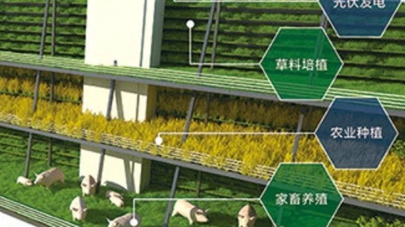 合作社注销清算报告费用解析：关键要素与合理预算