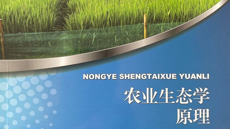 大棚西瓜种植成本解析：亩均投入解析与优化策略**